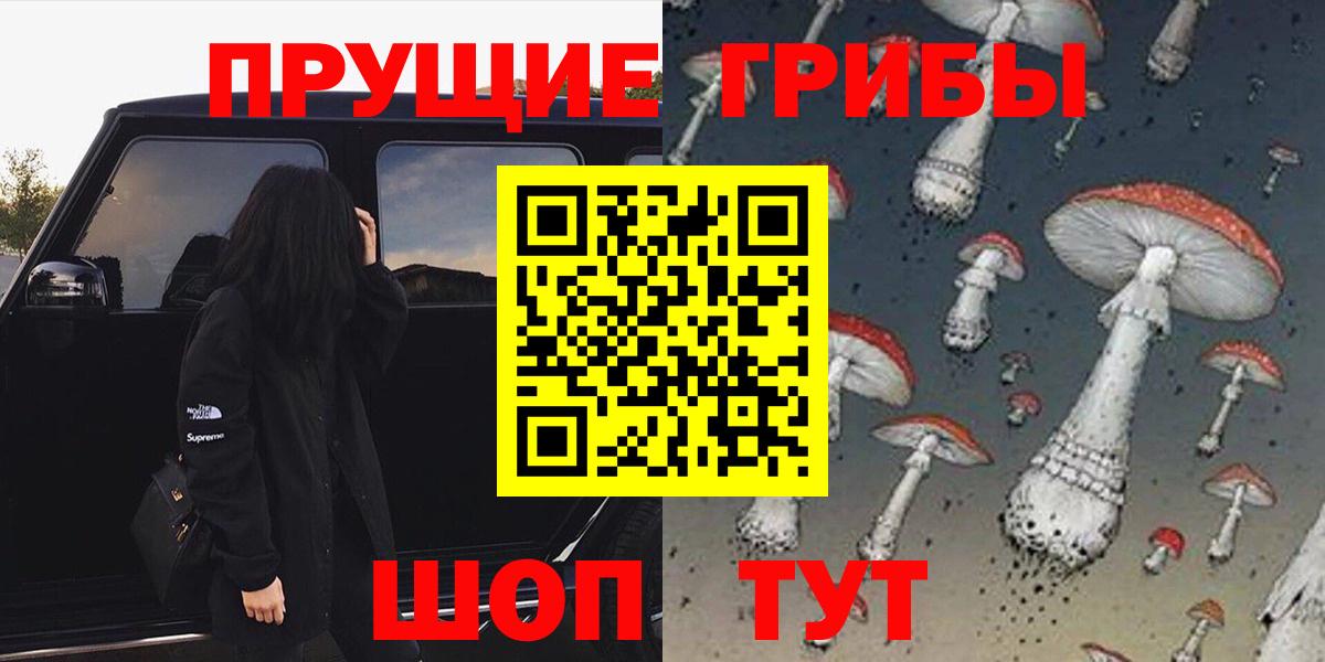 Галлюциногенные грибы Psilocybe  Вход с VPN  Полысаево 